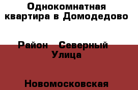 Однокомнатная квартира в Домодедово › Район ­ Северный › Улица ­ Новомосковская › Дом ­ 2 › Общая площадь ­ 30 › Цена ­ 2 480 000 - Московская обл., Домодедовский р-н, Домодедово г. Недвижимость » Квартиры продажа   . Московская обл.